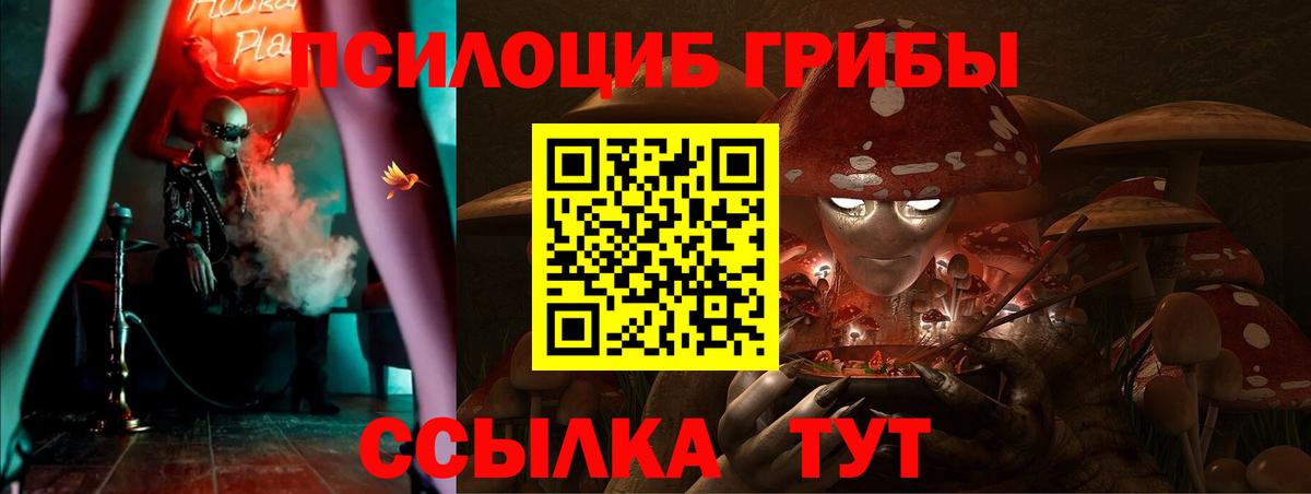 Ростов Великий  Галлюциногенные грибы Psilocybe  Псилоцибиновые грибы MAGIC MUSHROOMS  Вход с VPN 